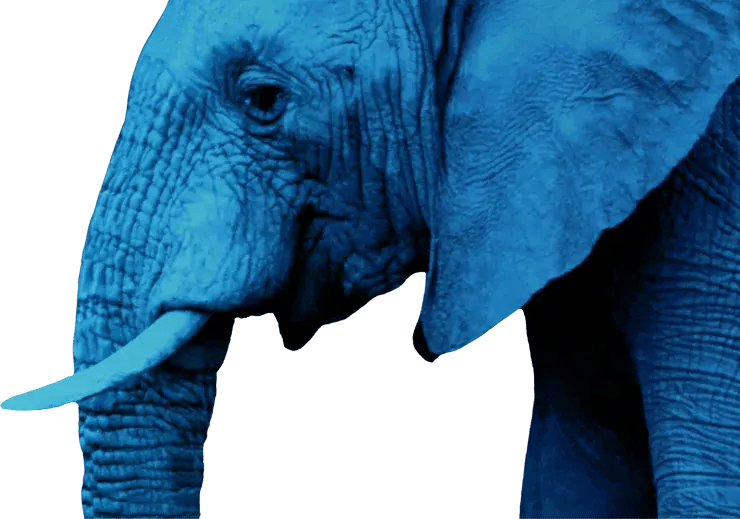 distributed_page_hero_elephant